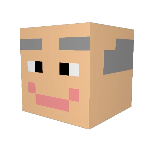 Shadoww_WOLff24 Minecraft avatar head, 3D render