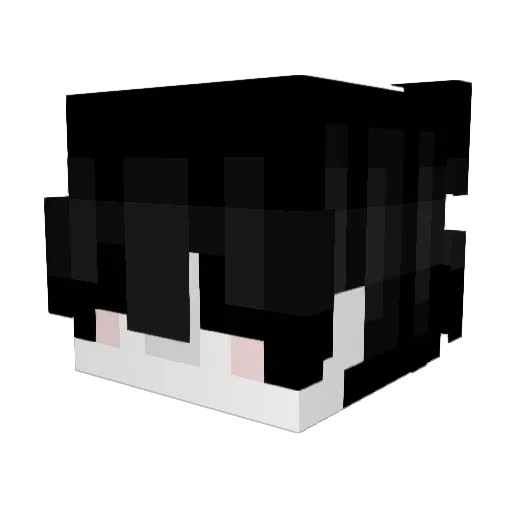 Shadowwc67 Minecraft avatar head, 3D render