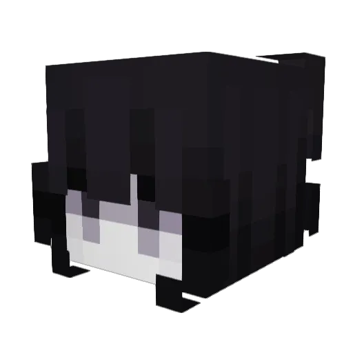 Shadowwwy Minecraft avatar head, 3D render
