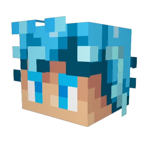 Shadowz4768 Minecraft avatar head, 3D render