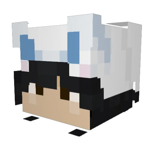 Shadst4 Minecraft avatar head, 3D render
