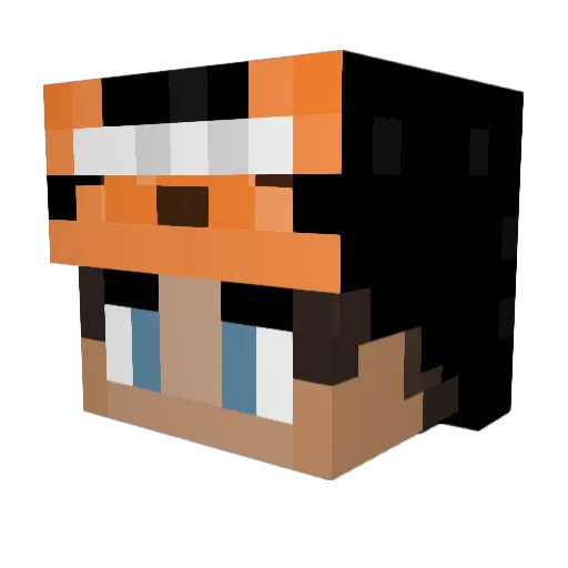 Shadwclaw Minecraft avatar head, 3D render