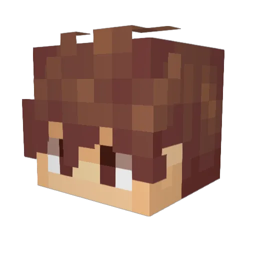 Shady1003 Minecraft avatar head, 3D render