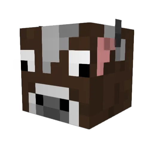 Shady55 Minecraft avatar head, 3D render