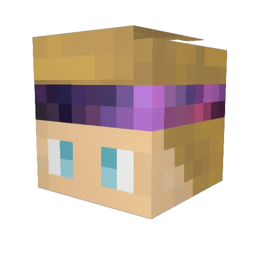 ShadyBenni Minecraft avatar head, 3D render