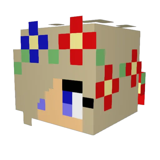 ShadyBran Minecraft avatar head, 3D render