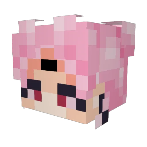 ShadyCatLady Minecraft avatar head, 3D render
