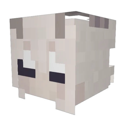 ShadyDes Minecraft avatar head, 3D render