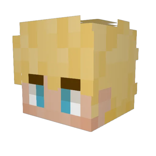 ShadyInnit Minecraft avatar head, 3D render