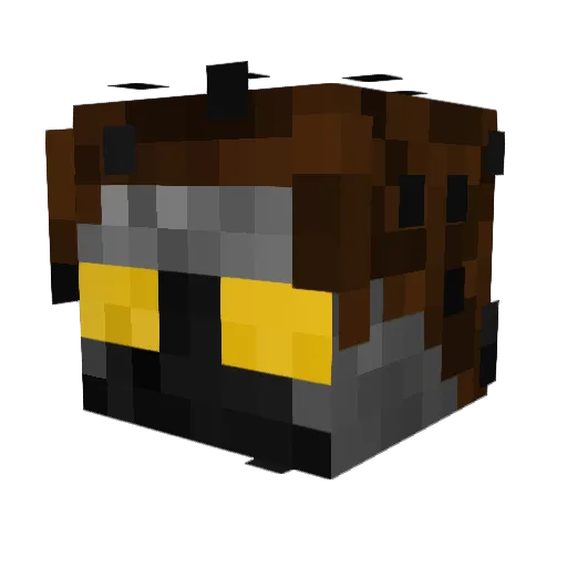 ShadyMcShade100 Minecraft avatar head, 3D render