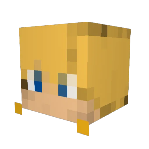 ShadyMedic Minecraft avatar head, 3D render