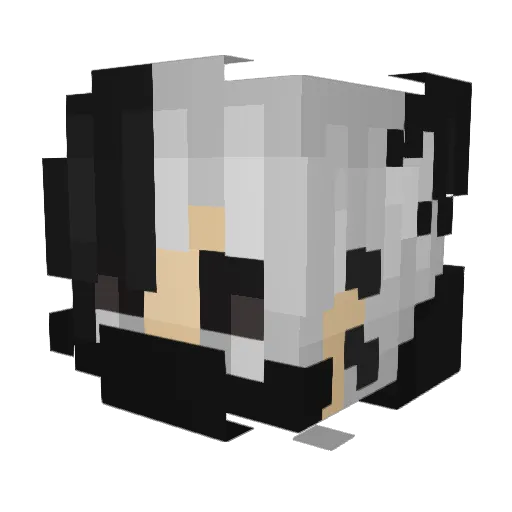 ShadyOboroten Minecraft avatar head, 3D render