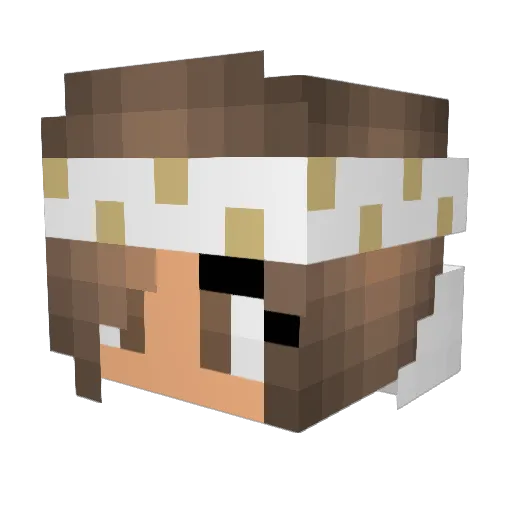 ShadyRecords Minecraft avatar head, 3D render