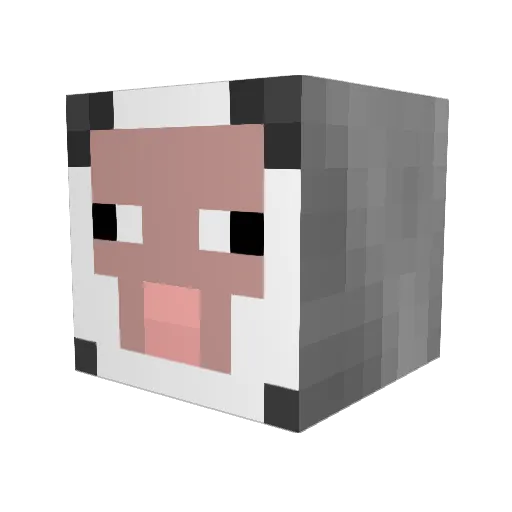 ShadySheep143 Minecraft avatar head, 3D render