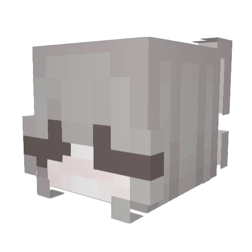 ShadySky1x Minecraft avatar head, 3D render