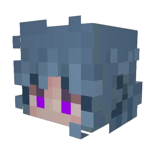 ShadyStreetPidge Minecraft avatar head, 3D render
