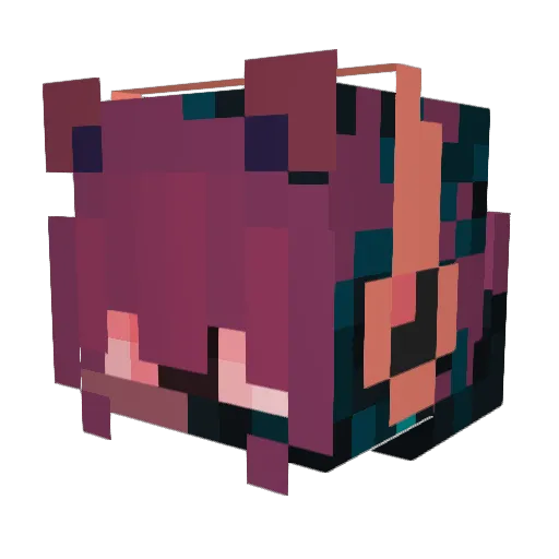 ShadyTanooki Minecraft avatar head, 3D render