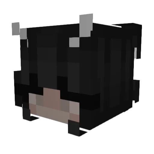 ShadyWaffless Minecraft avatar head, 3D render