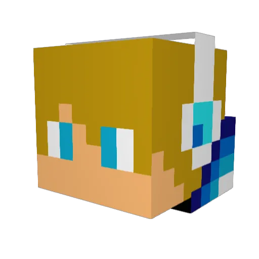 Shady_MC Minecraft avatar head, 3D render