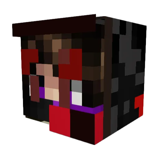 Shady_SJC Minecraft avatar head, 3D render