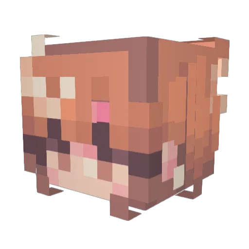 Shady__Shark Minecraft avatar head, 3D render