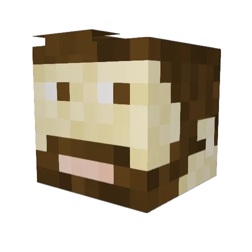 Shady_rl Minecraft avatar head, 3D render