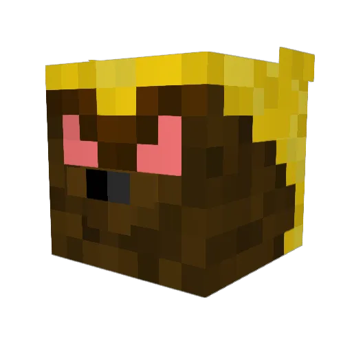 Shadykinz Minecraft avatar head, 3D render