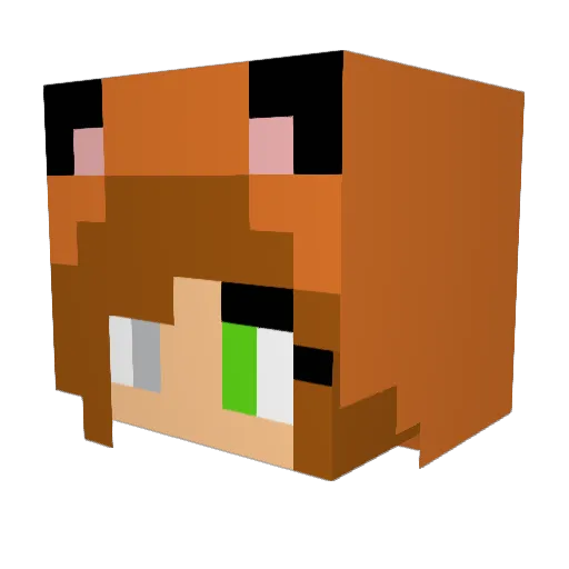 ShaeBey Minecraft avatar head, 3D render