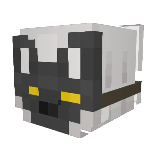 ShaeLeone Minecraft avatar head, 3D render