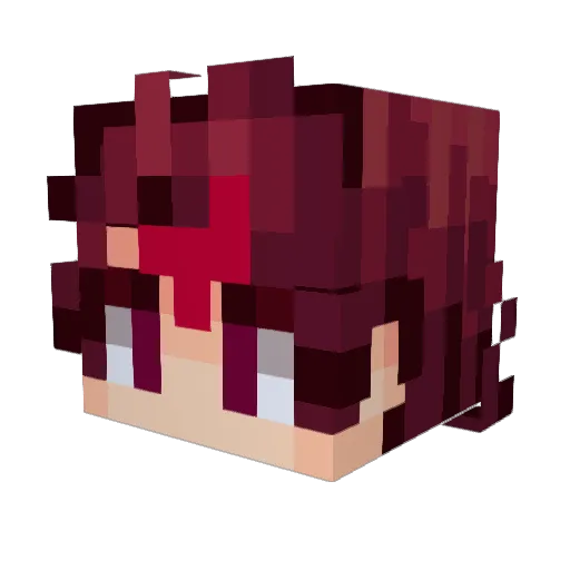 Shael_47 Minecraft avatar head, 3D render