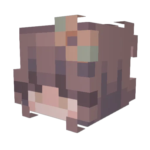 Shaelynnn Minecraft avatar head, 3D render