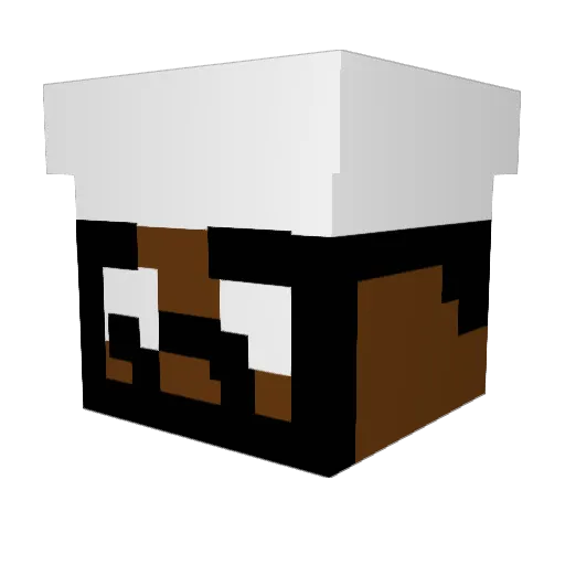 Shaffan Minecraft avatar head, 3D render