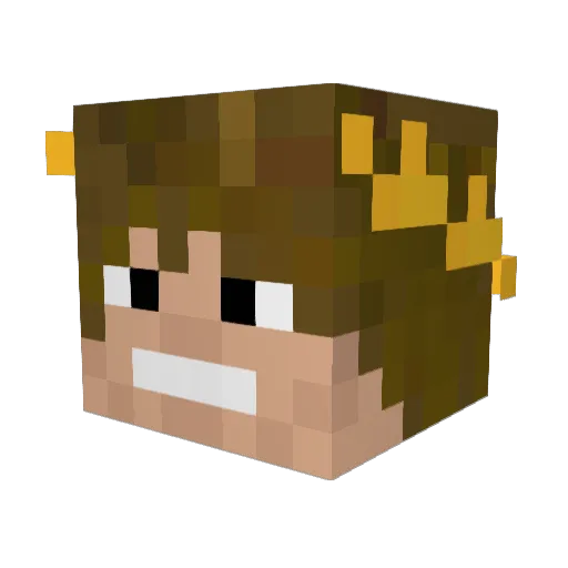 Shagamerka42 Minecraft avatar head, 3D render