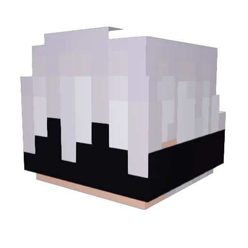 Shaggie98 Minecraft avatar head, 3D render