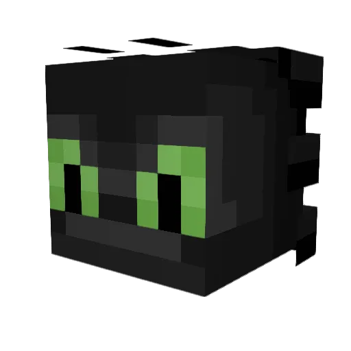 ShaggyPause815 Minecraft avatar head, 3D render