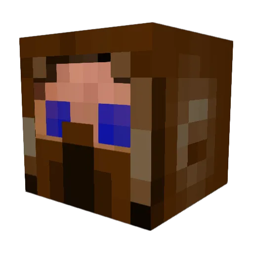 Shags09 Minecraft avatar head, 3D render