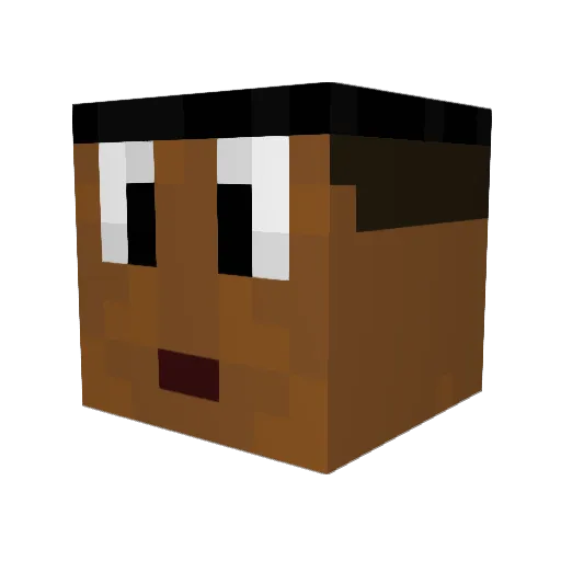 ShagzZ_77 Minecraft avatar head, 3D render