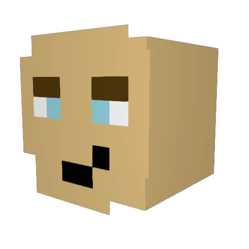 Shahsus Minecraft avatar head, 3D render