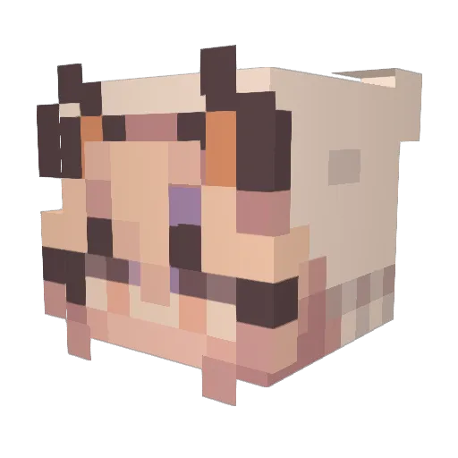 Shai2010 Minecraft avatar head, 3D render