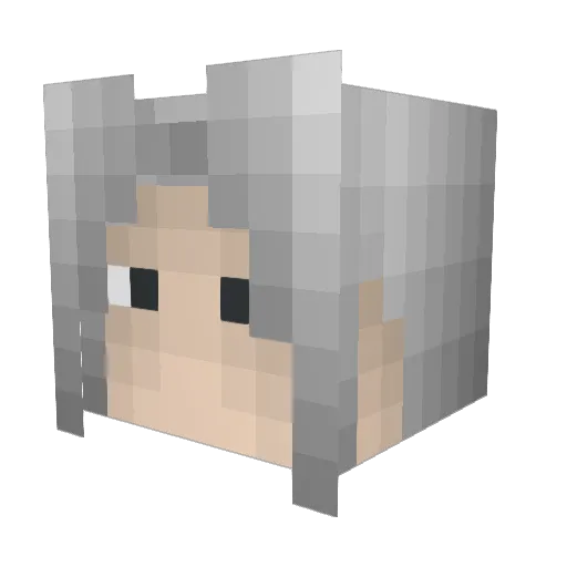 Shaii_Tan Minecraft avatar head, 3D render