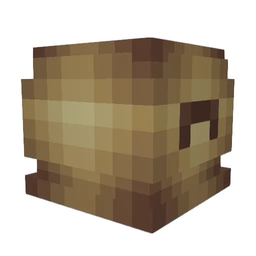 Shaipz Minecraft avatar head, 3D render