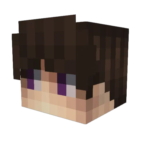 ShakSo0 Minecraft avatar head, 3D render