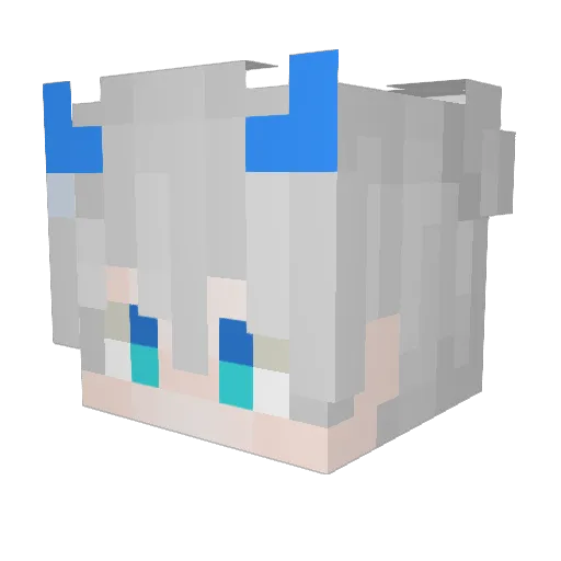 Shake171 Minecraft avatar head, 3D render
