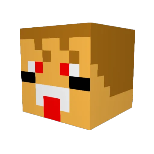 ShakeAndBake21 Minecraft avatar head, 3D render