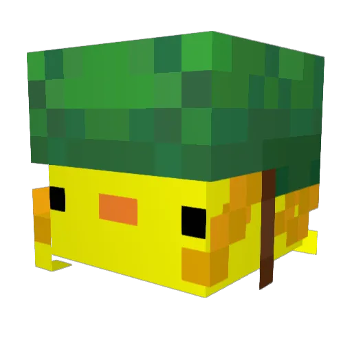 Shakearoo Minecraft avatar head, 3D render