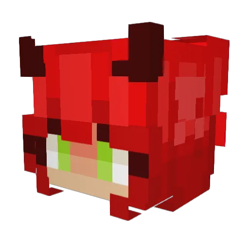 Shakedn13 Minecraft avatar head, 3D render
