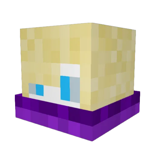 Shakenus Minecraft avatar head, 3D render