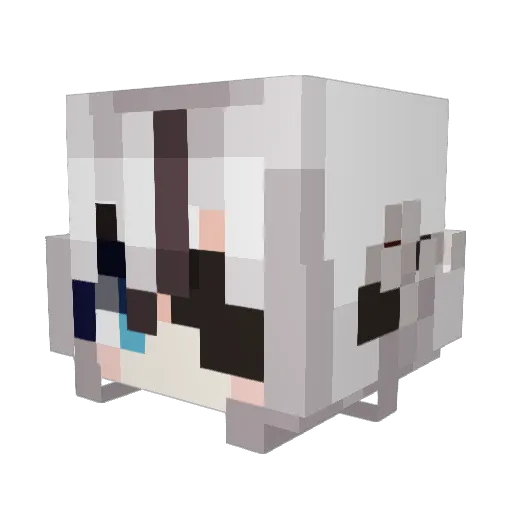 Shakenya Minecraft avatar head, 3D render