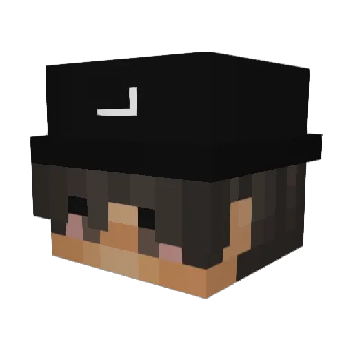 ShakerTerror26 Minecraft avatar head, 3D render