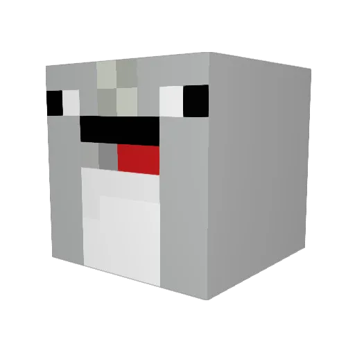 Shakey1136 Minecraft avatar head, 3D render